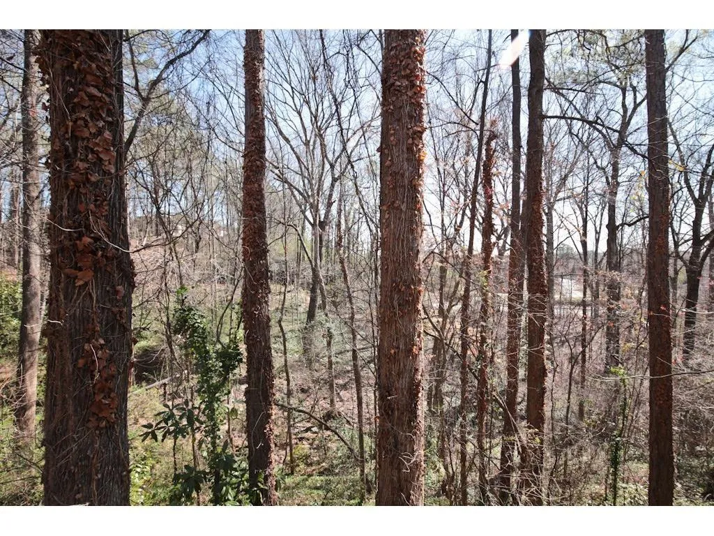 34 Ridgemere Trace, Sandy Springs, Georgia 30328, 6 Bedrooms Bedrooms, ,3 BathroomsBathrooms,Residential,Sold,34 Ridgemere Trace,5913214