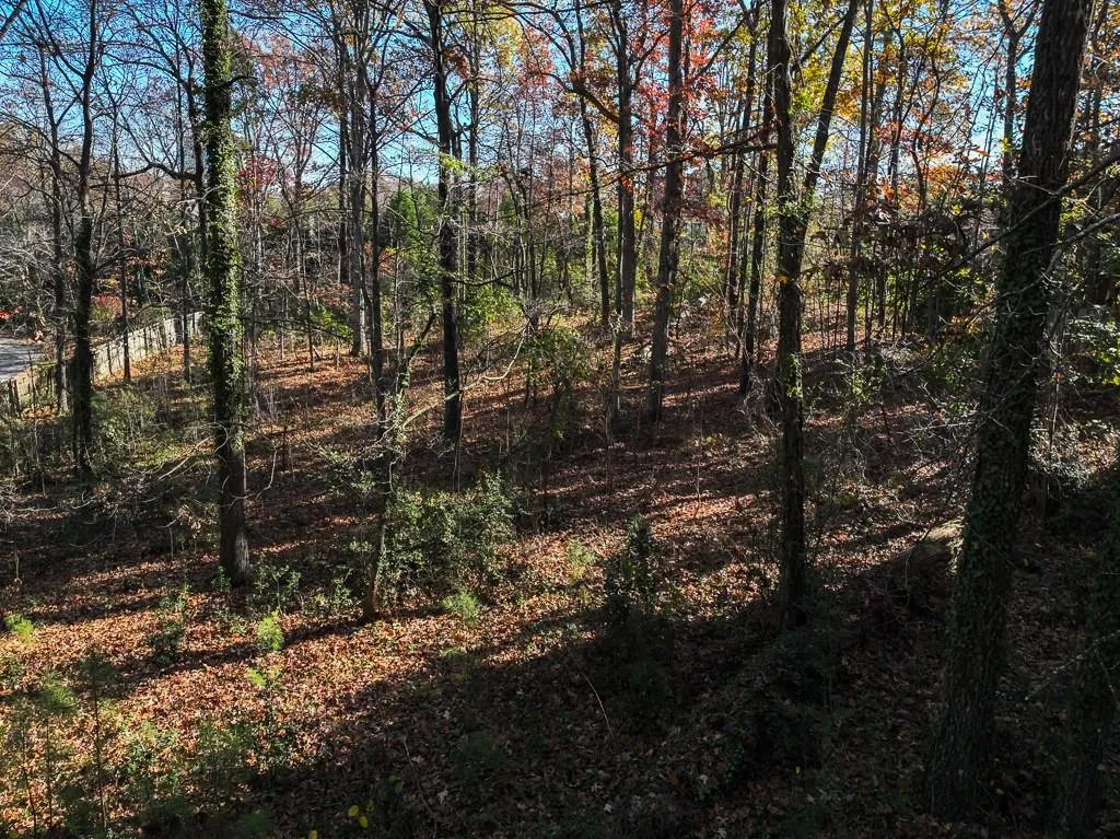 View of nature