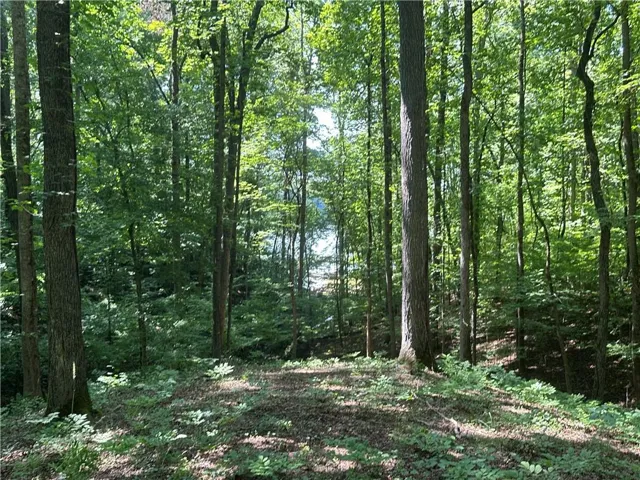Wooded acreage featuring mature deciduous trees and partial water visibility