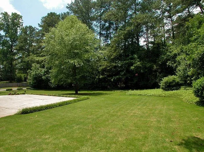 5660 Lake Forrest Drive, Sandy Springs, Georgia 30342, 4 Bedrooms Bedrooms, ,3 BathroomsBathrooms,Residential,Sold,5660 Lake Forrest Drive,5554185