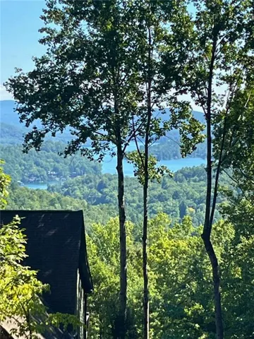 Lot 8 Lake View, Clayton, Georgia 30525
