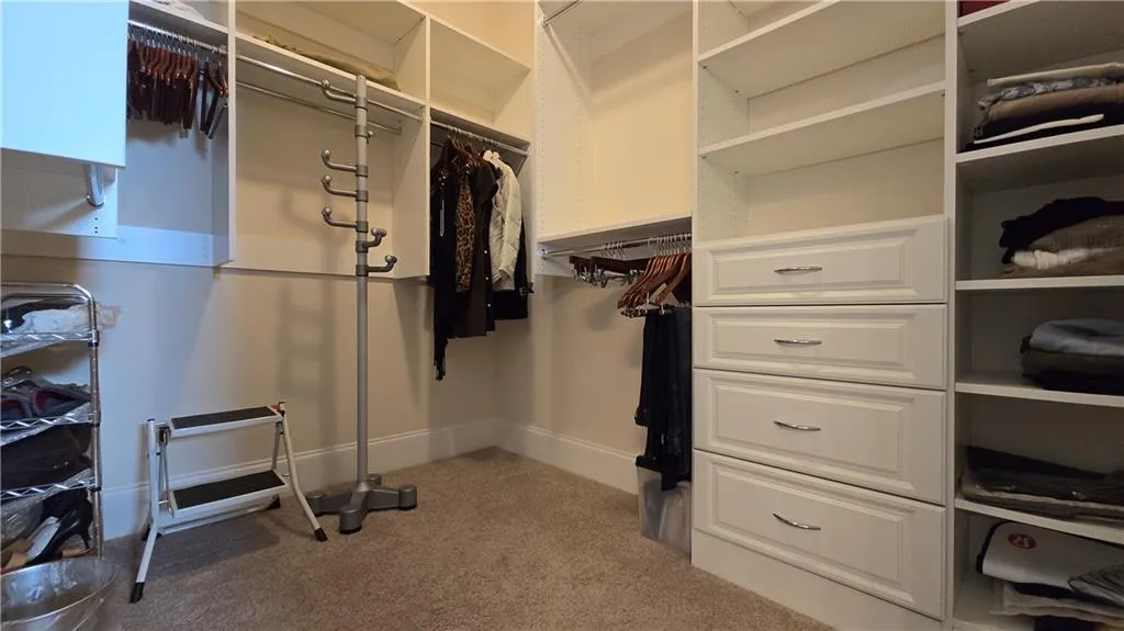 Spacious closet featuring carpet