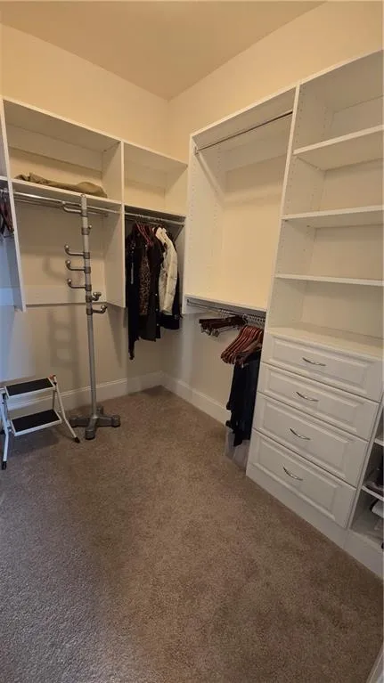 Spacious closet featuring carpet flooring
