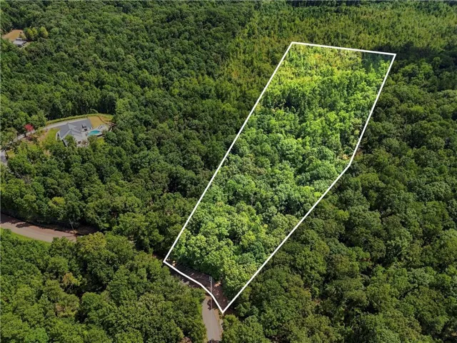 Wooded lot with mature trees and visible road frontage