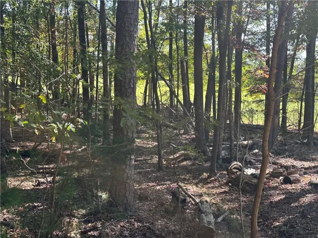 Lt1351 Willow Terrace, Jasper, Georgia 30143