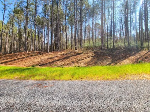 68 Mountaingate Way, Ellijay, Georgia 30536