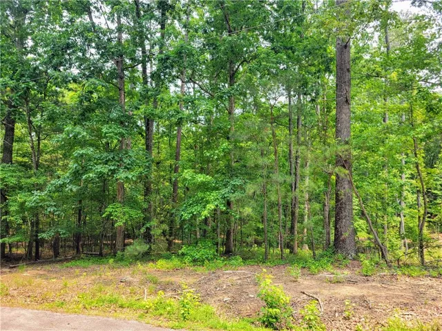 View of woods
