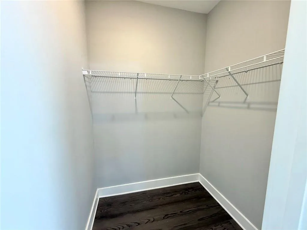Spacious closet with dark wood finished floors