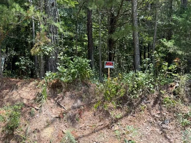 0 Iron Hill Road Lot 1, Taylorsville, Georgia 30178