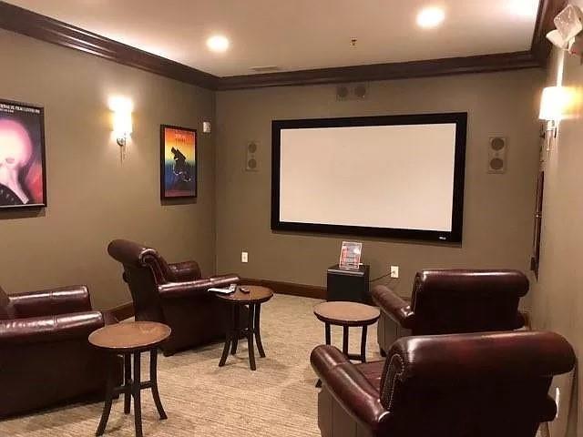 Home theater room with light carpet and ornamental molding