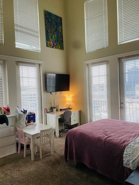 Carpeted bedroom featuring multiple windows and a high ceiling