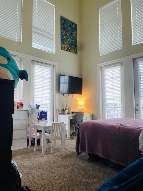Carpeted bedroom with multiple windows and a towering ceiling