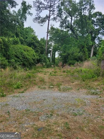 3340 Riggins Mill Road, Macon, Georgia 31217