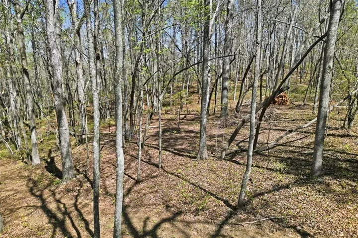 3094 Flatbottom Road, Ball Ground, Georgia 30107