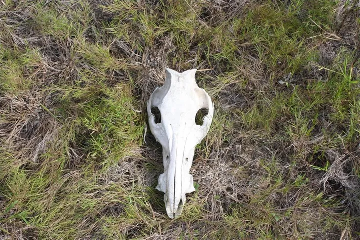 1170