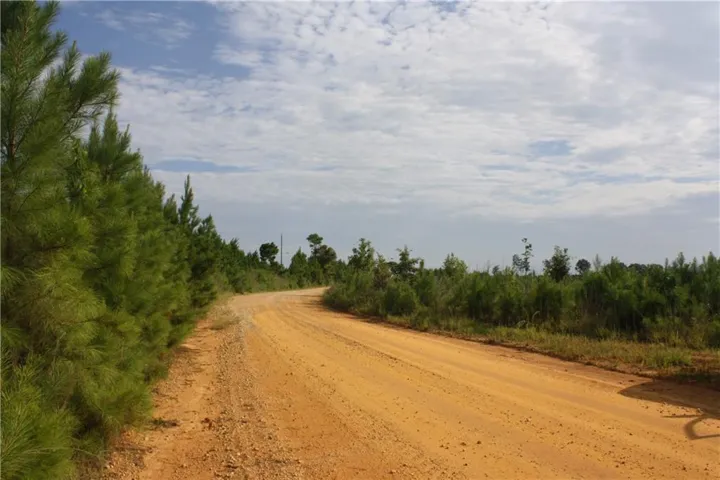 0 Balerma Church Road, Sparta, Georgia 31087