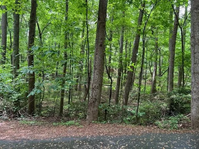 Lot Picture