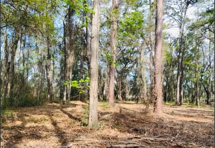 0000 W Black Island Road Se, Darien, Georgia 31305