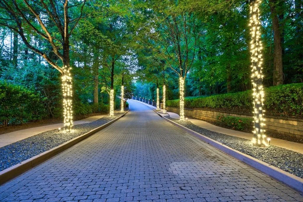 tree lined streets