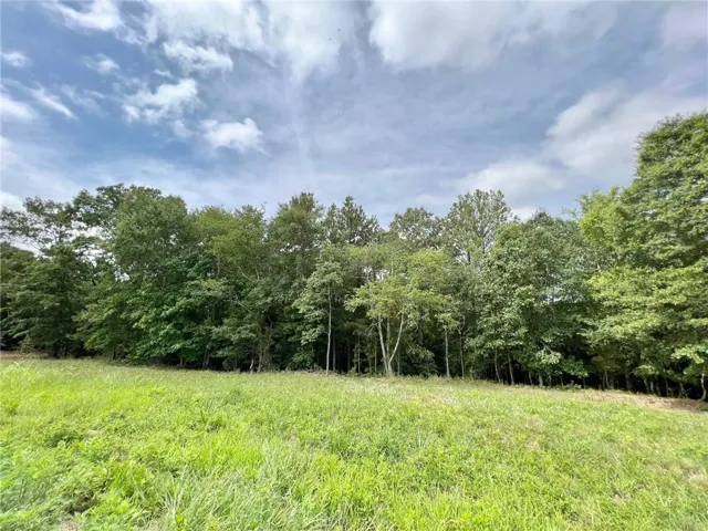 138 Daniel Ridge Sw, Cartersville, Georgia 30120
