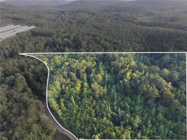Aerial perspective showcasing expansive wooded terrain with a defined property boundary