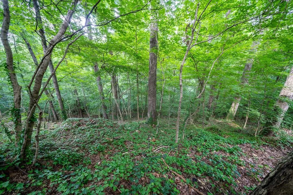 8271 Ison Road, Atlanta, Georgia 30350, 3 Bedrooms Bedrooms, ,3 BathroomsBathrooms,Residential,Sold,8271 Ison Road,6589324