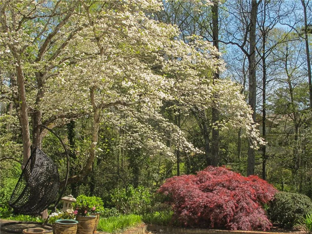 6135 Riverwood Drive, Atlanta, Georgia 30328, 4 Bedrooms Bedrooms, ,2 BathroomsBathrooms,Residential,Sold,6135 Riverwood Drive,6900128