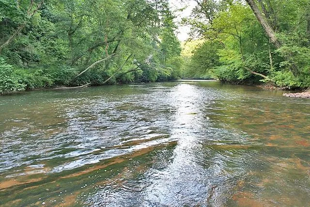 The Etowah River flowing through the property