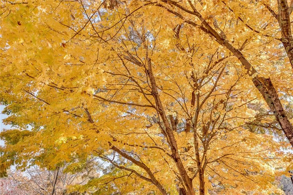 300 Johnson Ferry Road Ne Unit B309, Atlanta, Georgia 30328, 1 Bedroom Bedrooms, ,1 BathroomBathrooms,Residential,Sold,300 Johnson Ferry Road Ne Unit B309,7212365