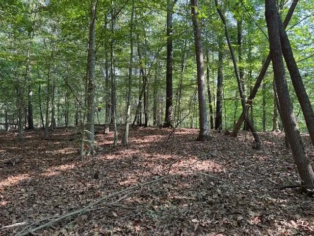 Gorgeous 2+ acre parcel in Cherokee County! NO HOA
