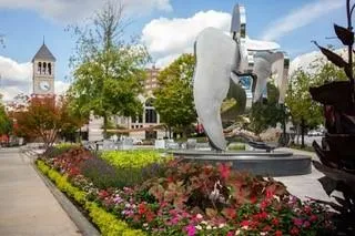 1170