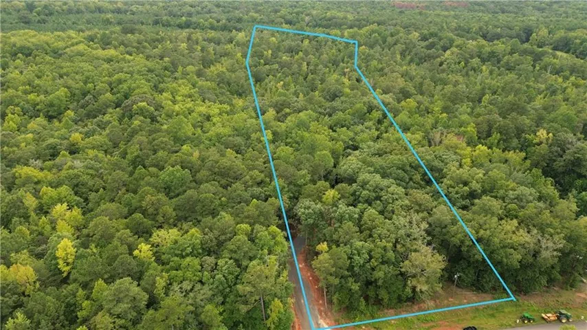 Expansive wooded acreage featuring mature tree cover