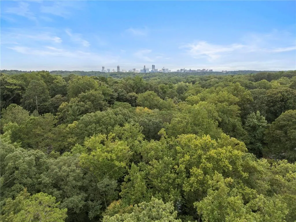 Atlanta skyline is foreground