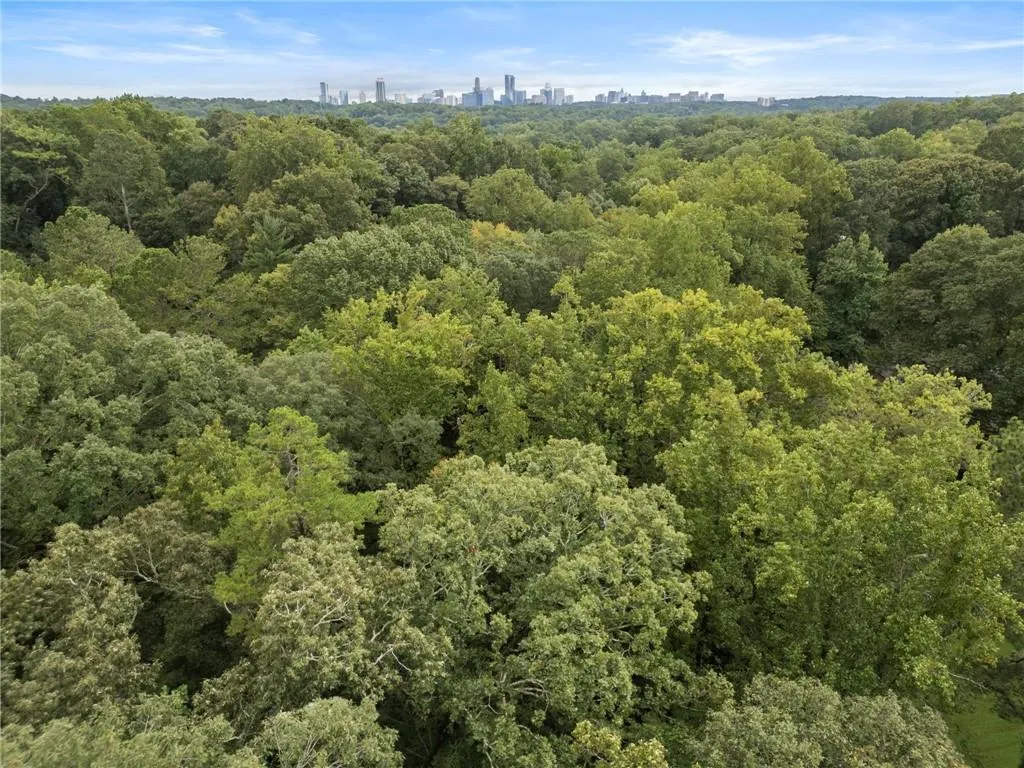 Wood Canopy of home.  Atlanta skyline is foreground
