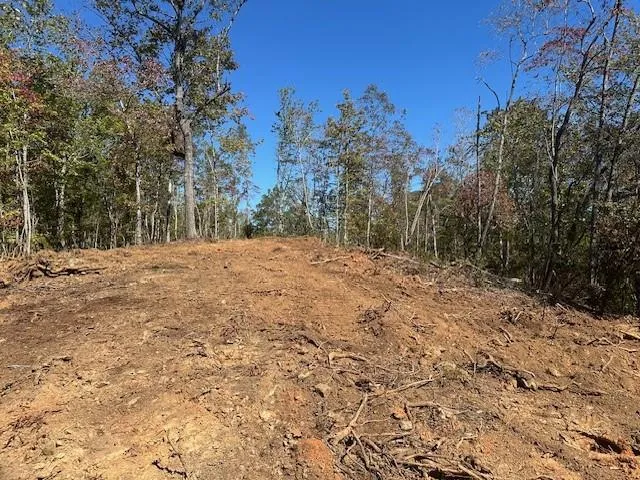 3.71 Yancy Drive, Dawsonville, Georgia 30534