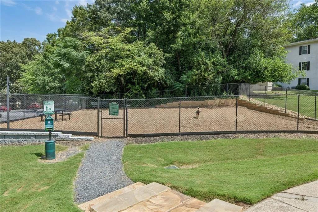 dogpARK.jfif
