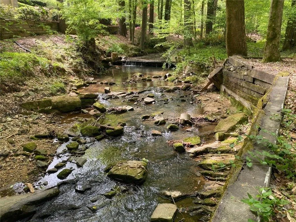 View of nature