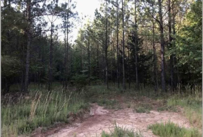 0 Lower Mill Road, Crawfordville, Georgia 30631