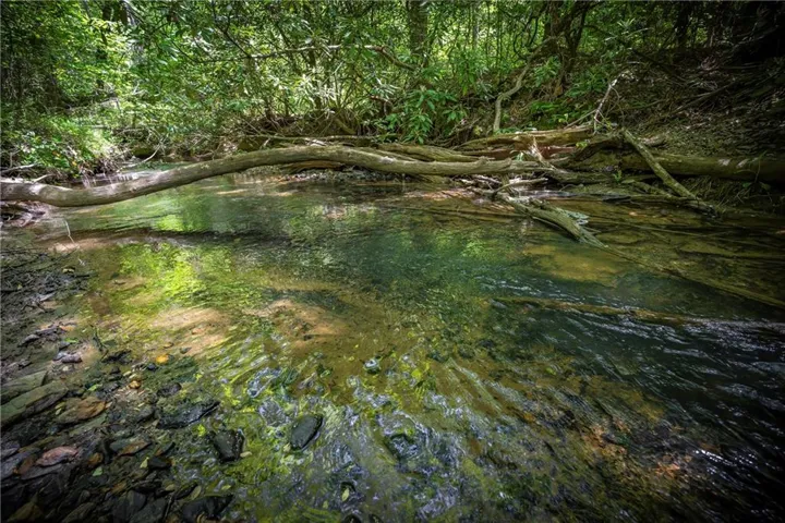 Lt1-1a Jonica Gap Road, Mineral Bluff, Georgia 30559