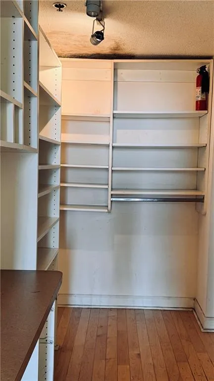 Walk in closet featuring light wood-style flooring