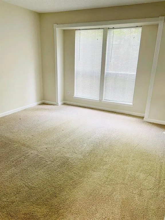 Unfurnished room featuring baseboards and carpet