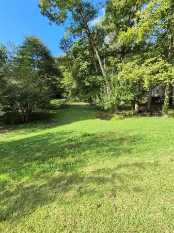View of grassy yard
