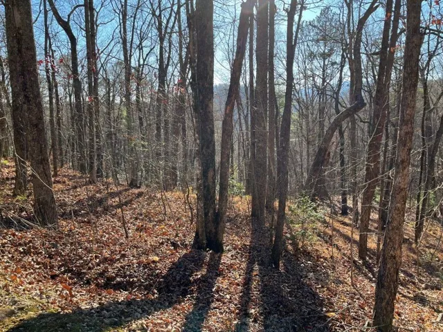 Lot #1 Forest Canopy Way, Clayton, Georgia 30525