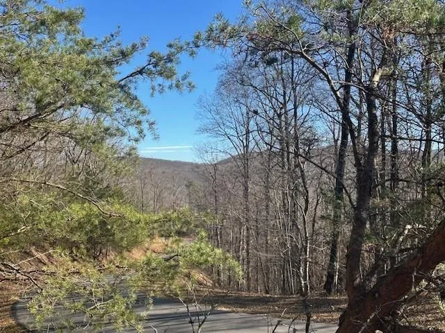 View of mountain backdrop with a heavily wooded area