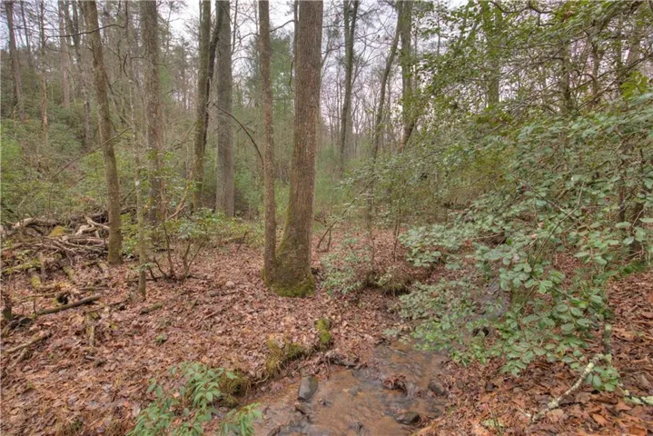 View of woods