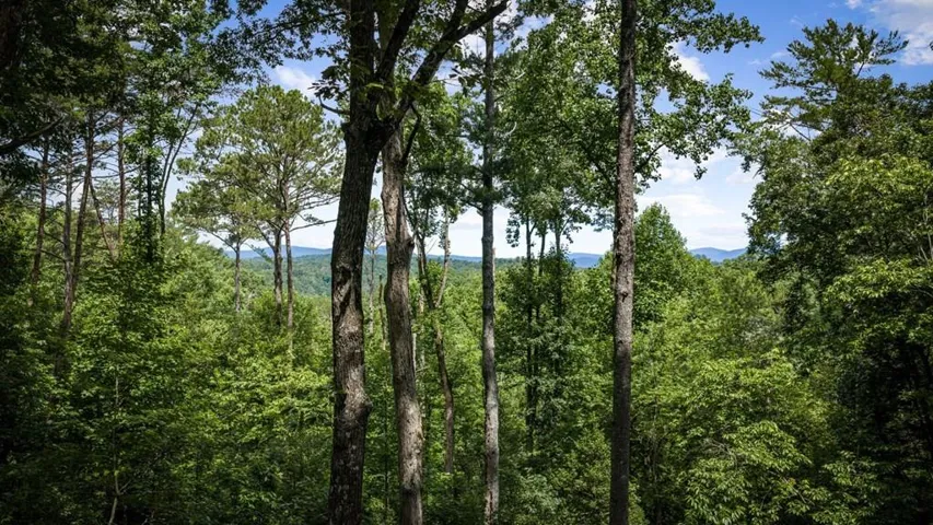 290 Graham Court, Ellijay, Georgia 30540