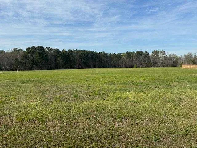 0 County Road 580, Centre, Alabama 35960