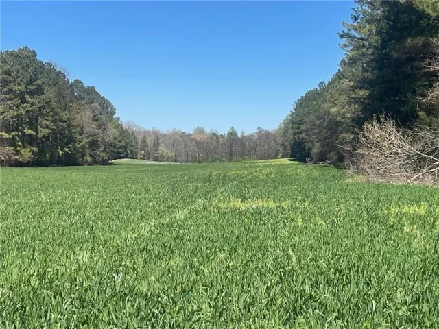 0 Cleveland Highway, Cohutta, Georgia 30710