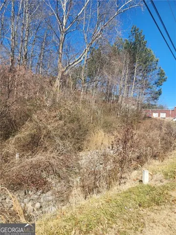 View of nature