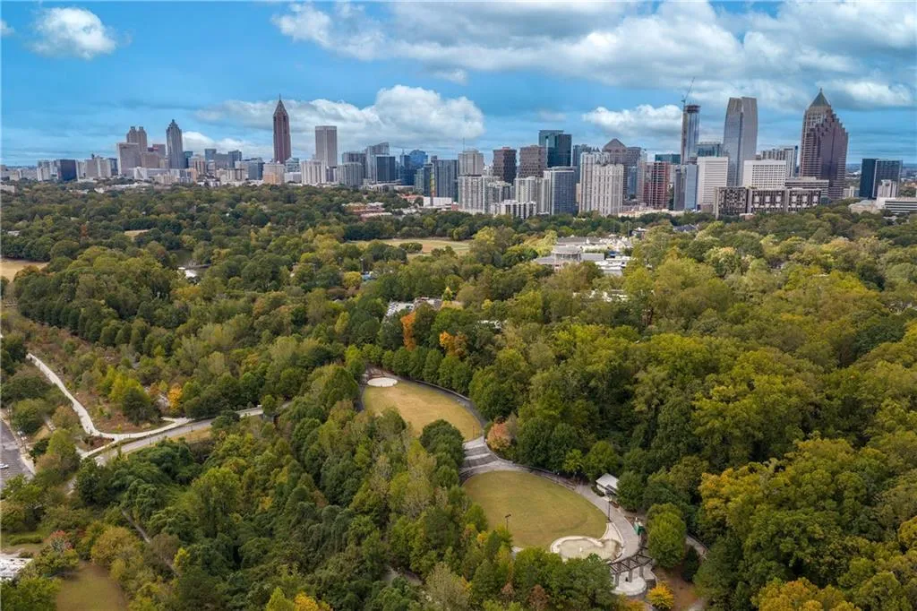 Aerial view of city skyline and a forest